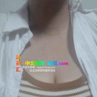 公明巨乳骚西西